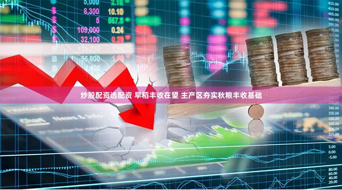 炒股配资选配资 早稻丰收在望 主产区夯实秋粮丰收基础