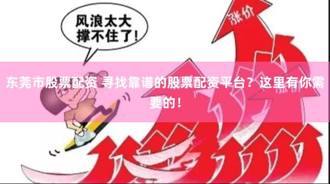 东莞市股票配资 寻找靠谱的股票配资平台？这里有你需要的！