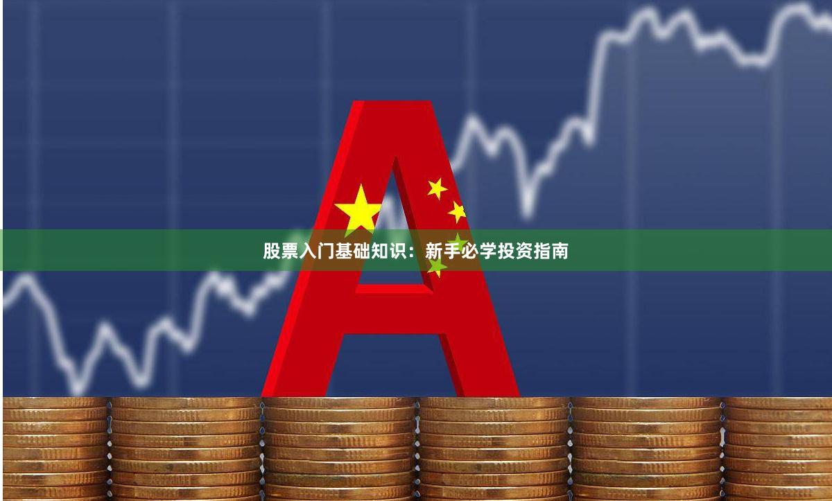 股票入门基础知识：新手必学投资指南