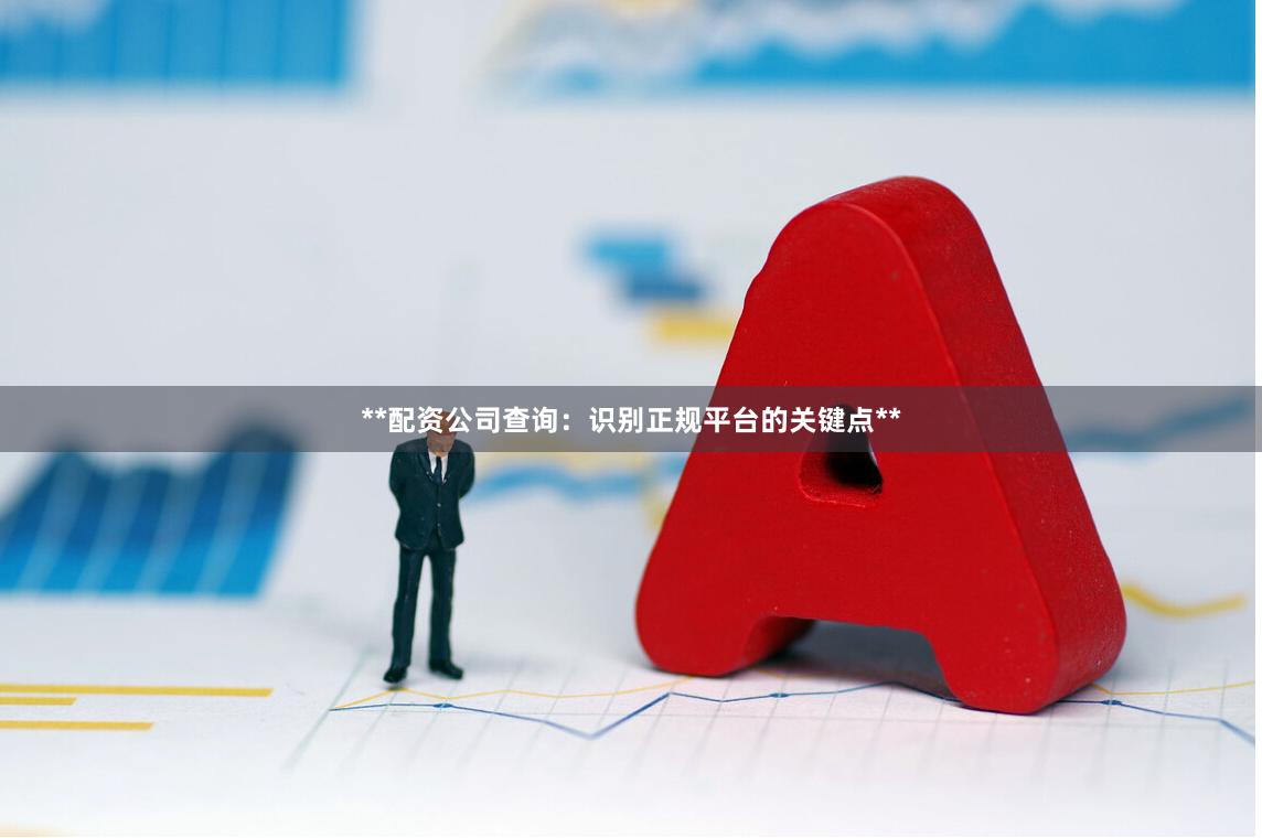 **配资公司查询：识别正规平台的关键点**